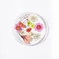 Nail art dried flower set 05 featuring colorful pressed petals in a round storage box - 5# Mixed Dried Flowers