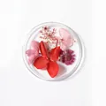 Mix 07 dried flower set with red pink hydrangea and purple daisies for nail art - 7# Mixed Dried Flowers