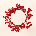Ghirlanda natalizia con bacche rosse su rami scuri per decorazione murale festiva - Stile B