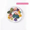 Mixed dried flowers 09 in a round container for Japanese nail art and DIY resin crafts - 9# Mixed Dried Flowers