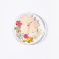 Assorted nail art dried flowers set with pink and white petals in a clear round case - 12# Mixed Dried Flowers