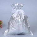 Holographic silver Christmas gift bag with square grid pattern and white organza ribbon - 24*32cm / Holographic White