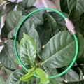 Portachiavi in cavo d'acciaio rivestito in verde con connettore a vite in argento - 1.5*150mm / Verde rivestito in PVC
