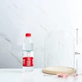 Clear glass dome display jar with wooden base, 18cm diameter and 25cm height - 18*25cm Glass Dome + Wood Base