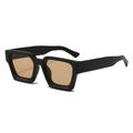 Retro thick frame sunglasses with matte black frame and transparent amber lenses - Matte Black Frame Champagne Lens