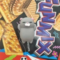 Grey Cat with Pink Ears