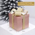 Frosted champagne gift box with gold ribbon for Christmas decor, 25cm size - Champagne / 25cm