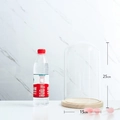 Cylindrical 15x25cm glass display dome with natural wood base for collectibles - 15*25cm Glass Dome + Wood Base