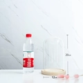 Clear glass display dome with wooden base, 20cm height by 12cm diameter, dustproof cover - 12*20cm Glass Dome + Wood Base