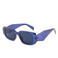 Lunettes de soleil géométriques carrées avec monture bleu foncé et verres gris - C7 Monture Bleue Verres Gris