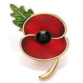 Red poppy flower enamel brooch with green leaves and gold metal plating on white background - 3461 Gold