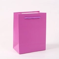 Detail of purple paper gift bag with matching rope handles on a clean white background - Purple