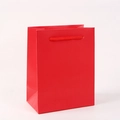 Detailed view of a plain red vertical paper gift bag with matching rope handles - 18*14*8cm / Red