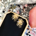 Detailed macro view of golden starburst fireworks earrings with sparkling zircons - Radial Starburst / Gold