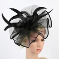 Elegante cappello fascinator in rete nera con piume delicate per matrimoni e feste - Nero