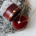 Collana in titanio placcato oro 18K con diamante in zircone in scatola rossa lusso - Oro rosa
