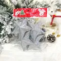 Detail of silver glitter star ornaments in festive Christmas packaging with Merry Christmas tag - 7cm (Set of 4) / Silver