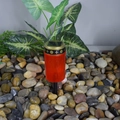 Solar outdoor garden stake light with red lampshade and gold trim for pathway decor - Cemetery Stake (Red)