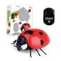 Infrared remote control ladybug toy with realistic crawling action and handheld controller - Ladybug