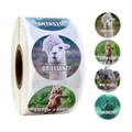 Rouleau d'autocollants de récompense animaux avec alpaga et ours et textes motivants anglais - CM14 (Alpaga/Ours/Style Réaliste)