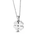 Collar de acero de titanio plateado con colgante de trébol e incrustación de circonita - Color Plata (KN89593-K)