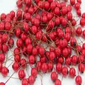 Vibrant red faux berries with glossy finish on stems for Christmas DIY crafts - Approx. 100Pcs/Bag / Blue Blueberry 12mm