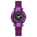 Orologio donna viola quadrante cielo stellato con numeri romani e cinturino milanese magnetico - Viola