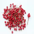 Artificial red berries for Christmas wreath DIY and festive flower arrangements - Approx. 100Pcs/Bag / Blue Blueberry 10mm