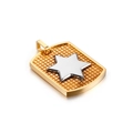 Pendaglio scudo dorato rettangolare con trama a griglia e stella d'argento su bianco - Base a griglia dorata con pentagramma d'argento (KP83406-LX)