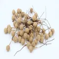 Golden artificial berries with wire stems for Christmas wreaths and DIY floral crafts - Approx. 100Pcs/Bag / Gold Pearl Berry 12mm