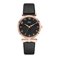 Fashion women's quartz watch with black leather strap and rose gold case on white background - Black