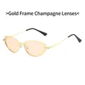 Fashionable oval sunglasses with slim gold metal frame and champagne tinted lenses - Gold Frame Champagne Lens