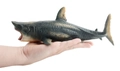 Detailopname van een witte haai speelgoedmodel met tanden en textuur in de hand - XD-1 Megalodon Haai (175g)
