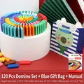 Educational 120-piece wooden domino set with colorful blocks and blue bear gift bag - 120 Pieces Dominoes Blue Gift Bag Style 2