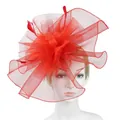 Elegant red mesh fascinator hat with feathers and floral lace design for party - Red