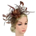 Detail of vintage brown fascinator hat featuring delicate mesh, feathers, and beads - Coffee