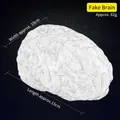Realistic 15cm gray Halloween prop brain model for haunted house decoration and pranks - Fake Brain 82g