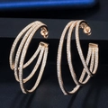 Dettaglio di orecchini a cerchio dorati multistrato intrecciati con zirconi brillanti - Stile Oro / Oro