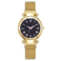 Elegant gold Milanese mesh strap watch with a blue starry sky dial and Roman numerals - Gold