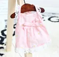 Pink daisy pet lace dress for small dogs with a cute bow on a wooden hanger - Size S / Pink Sunflower