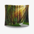 Square decorative forest cushion cover with vibrant green trees and morning sunlight rays - 73X95CM / Brushed Fabric / Forest Morning Light (GT110128)