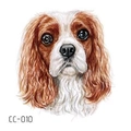 Cartoon Cavalier King Charles Spaniel temporary tattoo sticker for kids, model CC-010 - Cavalier King Charles Spaniel (CC-010)