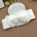 Ceinture élastique blanche pour femmes avec élégantes décorations de roses en mousseline - Blanc Pur