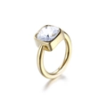 Titanium steel ring in golden finish featuring a square clear zircon stone - US 9 / Clear/White (KR82554-K)
