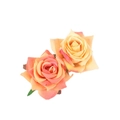 Détail de deux pinces à roses en velours vintage aux dégradés réalistes rose et orange - Orange