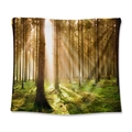 Nature forest tapestry with digital print showing morning sunlight through tall trees - Jungle Morning Light / 73X95CM (Cross-border Brushed)