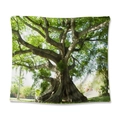 Arazzo da parete con albero della foresta verde per decorazione domestica naturale - Lussureggiante Albero Antico / 73X95CM (Spazzolato Transfrontaliero)