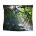 Arazzo bohémien con paesaggio forestale, luce solare tra gli alberi e ruscello che scorre - Foresta Effetto Tyndall(GT110045) / 73X95CM/Tessuto Spazzolato