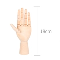Articulated 18cm wooden hand model for sketching and drawing with flexible finger joints - 7 Inch Small Left Hand (18cm)