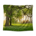 Rectangular forest wall tapestry with sunlit ancient trees and white floral meadow - Forest Blooming Lawn / 73X95CM (Cross-border Brushed)